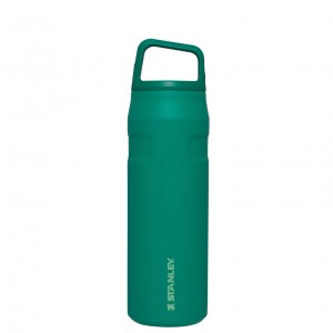 Alpine Stanley IceFlow™ Bottle with Cap and Carry+ Lid | 24 OZ | JOBX13528