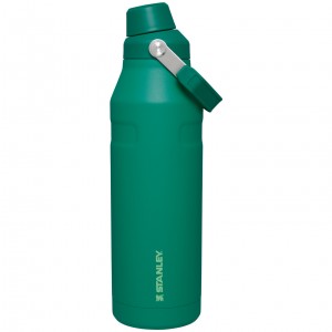 Alpine Stanley IceFlow™ Bottle with Fast Flow Lid | 50 OZ | XMZB65703