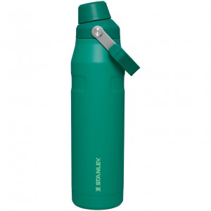 Alpine Stanley IceFlow Insulated Bottle with Fast Flow Lid | 36 OZ | XQMC16342