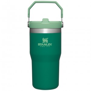 Alpine Stanley The IceFlow Flip Straw Tumbler | 20 OZ | Insulated Water Tumbler | Sta | IRJX74168