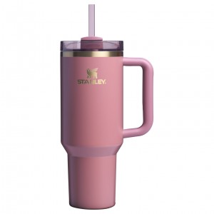 Antique Pink Stanley The Fall Refresh Quencher H2.O FlowState™ Tumbler I 40 OZ | JLWU76308