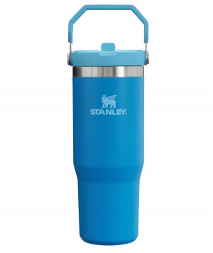 Azure Stanley The IceFlow Flip Straw Tumbler | 30 OZ | Insulated Water | BRNJ19720