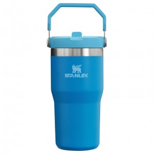 Azure Stanley The IceFlow Flip Straw Tumbler | 20 OZ | Insulated Water Bottle | VTOC38729