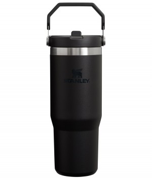 Black 2.0 Stanley The IceFlow Flip Straw Tumbler | 30 OZ | Insulated Water | XEOA87104