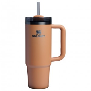 Camel Stanley The Fall Refresh Quencher H2.O FlowState™ Tumbler I 30 OZ | EHKO70318