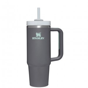 Charcoal Stanley Quencher H2.0 Travel Tumbler | 30 OZ | VWAX26531