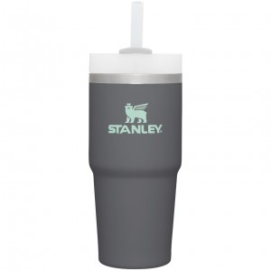 Charcoal Stanley Quencher H2.0 Travel Tumbler | 14 OZ | MJNU50196