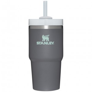 Charcoal Stanley Quencher H2.0 Travel Tumbler | 20 OZ | QJHI18643