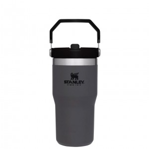 Charcoal Stanley The IceFlow Flip Straw Tumbler | 20 OZ | Insulated Water Tumbler | Sta | VAIM10942