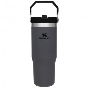 Charcoal Stanley The IceFlow Flip Straw Tumbler | 30 OZ | Insulated Water | GHXC51346