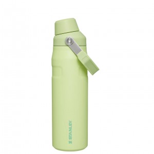 Citron Stanley IceFlow Insulated Bottle with Fast Flow Lid | 24 OZ | VYGB30679