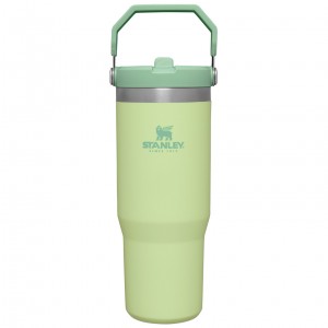 Citron Stanley The IceFlow Flip Straw Tumbler | 30 OZ | Insulated Water | VLRT18946