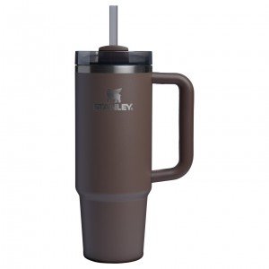 Espresso Stanley The Fall Refresh Quencher H2.O FlowState™ Tumbler I 30 OZ | HLKJ31740