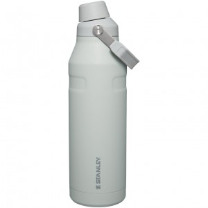 Fog Glimmer Stanley IceFlow™ Bottle with Fast Flow Lid | 50 OZ | MAUV28350