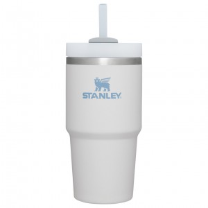 Fog Stanley Quencher H2.0 Travel Tumbler | 20 OZ | FLDQ65430