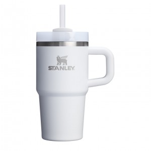 Frost Stanley Quencher H2.0 Travel Tumbler With Handle & Straw | 20 OZ | LZJF73458