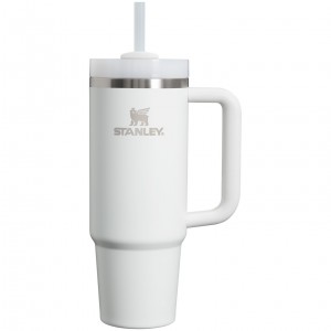 Frost Stanley Quencher H2.0 Travel Tumbler | 30 OZ | CQOH39645