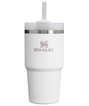 Frost Stanley Quencher H2.0 Travel Tumbler | 14 OZ | TRSM51302