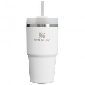 Frost Stanley Quencher H2.0 Travel Tumbler | 20 OZ | WAZQ57068