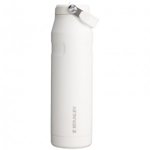 Frost Stanley The IceFlow™ Bottle with Flip Straw Lid | 36 oz | LYHF46589