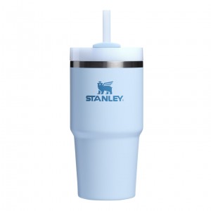 Glacier Stanley Quencher H2.0 Travel Tumbler | 20 OZ | NYCQ96541