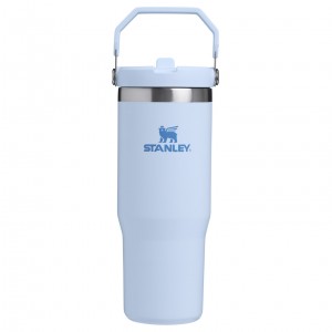 Glacier Stanley The IceFlow Flip Straw Tumbler | 30 OZ | Insulated Water | GDUE01942