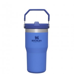 Iris Stanley The IceFlow Flip Straw Tumbler | 20 OZ | Insulated Water Tumbler | Sta | WSQE50416