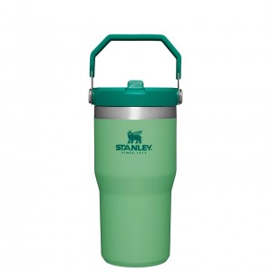 Jade Stanley The IceFlow Flip Straw Tumbler | 20 OZ | Insulated Water Bottle | EBCU31209