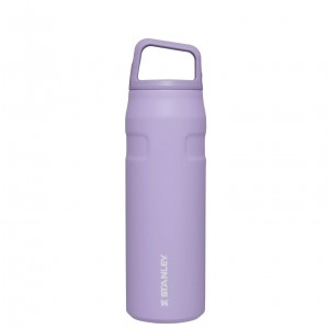 Lavender Stanley IceFlow™ Bottle with Cap and Carry+ Lid | 24 OZ | RMHE56147