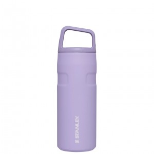 Lavender Stanley IceFlow™ Bottle with Cap and Carry+ Lid | 16 OZ | GDVN01478