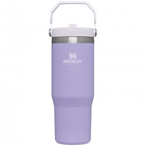 Lavender Stanley The IceFlow Flip Straw Tumbler | 30 OZ | Insulated Water | AXPR38195