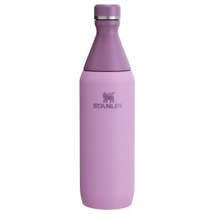 Lilac Stanley All Day Slim Bottle | 20 OZ | QGPT14063