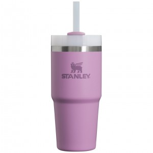 Lilac Stanley Quencher H2.0 Travel Tumbler | 14 OZ | JBLW91084