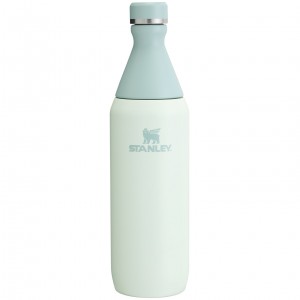 Mist Stanley All Day Slim Bottle | 20 OZ | OEJV37982