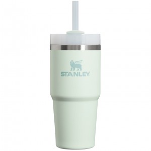 Mist Stanley Quencher H2.0 Travel Tumbler | 14 OZ | YLJW82451