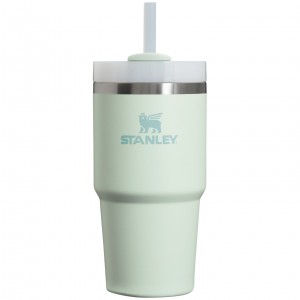 Mist Stanley Quencher H2.0 Travel Tumbler | 20 OZ | ONFP29710