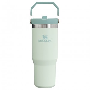 Mist Stanley The IceFlow Flip Straw Tumbler | 30 OZ | Insulated Water | BYIT90253