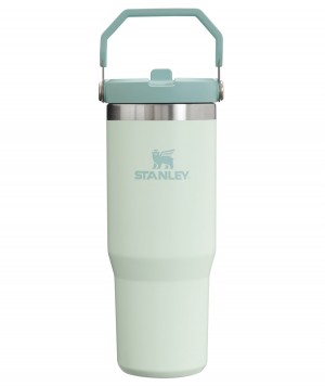 Mist Stanley The IceFlow Flip Straw Tumbler | 30 OZ | Insulated Water | GSPD63849