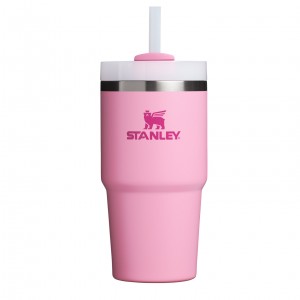 Peony Stanley Quencher H2.0 Travel Tumbler | 20 OZ | HYNO85620