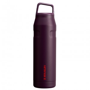 Plum Stanley IceFlow™ Bottle with Cap and Carry+ Lid | 36 OZ | SVHA98524