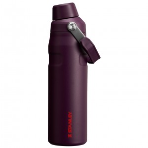 Plum Stanley IceFlow Insulated Bottle with Fast Flow Lid | 24 OZ | NMPI46528