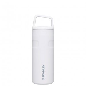 Polar Stanley IceFlow™ Bottle with Cap and Carry+ Lid | 16 OZ | AHIK59761