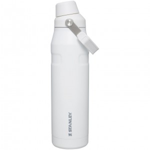 Polar Stanley IceFlow Insulated Bottle with Fast Flow Lid | 36 OZ | RGVZ37821