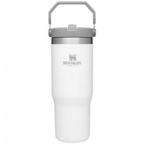 Polar Stanley The IceFlow Flip Straw Tumbler | 30 OZ | Insulated Water | EZHK41896