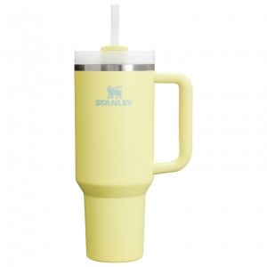 Pomelo Stanley Adventure Quencher H2.0 Travel Tumbler | 40 oz | MZSK61593