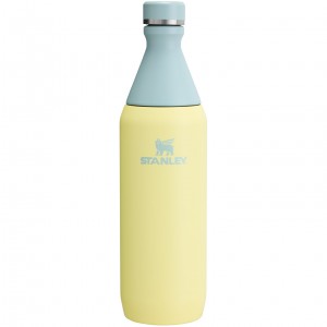 Pomelo Stanley All Day Slim Bottle | 20 OZ | JDKG39501