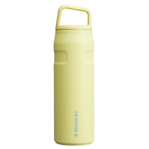 Pomelo Stanley IceFlow™ Bottle with Cap and Carry+ Lid | 24 OZ | HLAO10673