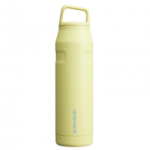 Pomelo Stanley IceFlow™ Bottle with Cap and Carry+ Lid | 36 OZ | YKMD27590