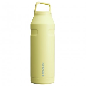 Pomelo Stanley IceFlow™ Bottle with Cap and Carry+ Lid | 50 OZ | TOIU49316