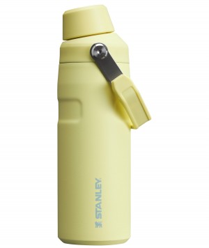 Pomelo Stanley IceFlow™ Bottle with Fast Flow Lid | 16 OZ | PJFU41268